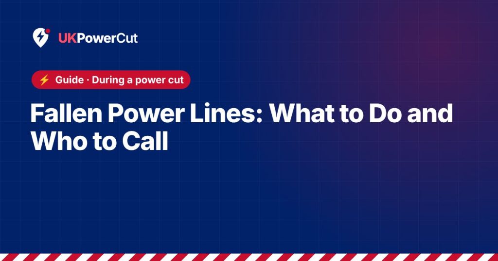 Fallen Power Lines: What to Do and Who to Call